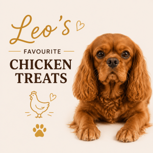 Leo's Favourite Treat