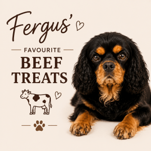 Fergus's Favourite Treat