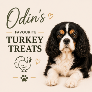 Odin's Favourite Treat